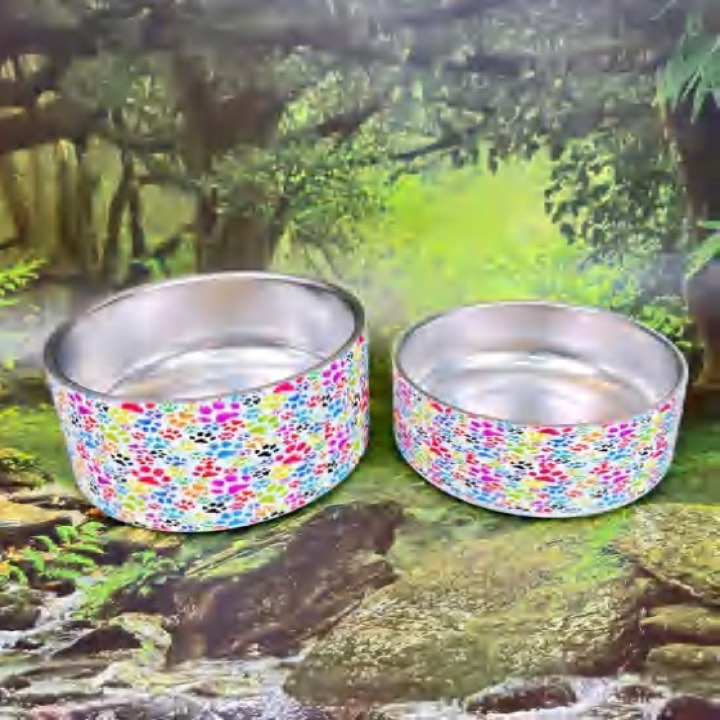 Dog Bowl